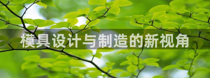 电子游戏太阳神官方网站：模具设计与制造的新视角
