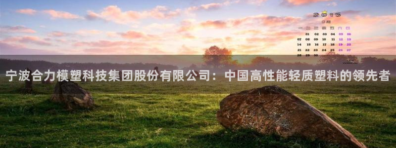太阳集团游戏官网：宁波合力模塑科技集团股份有限公司：中国高性能轻质塑料的领先者