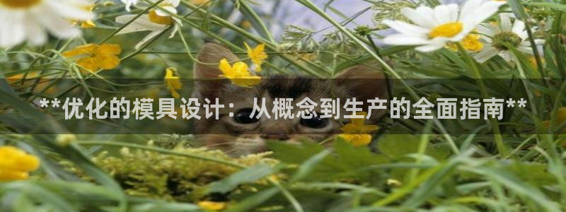 2138cn太阳集团古天乐：**优化的模具设计：从概念到生产的全面指南**