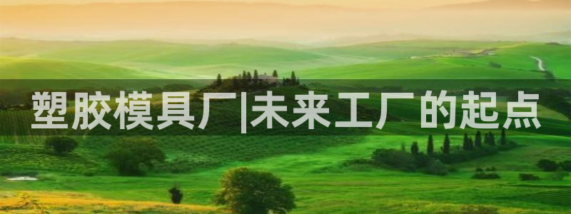 太阳集团游戏官方网址老字号：塑胶模具厂|未来工厂的起点