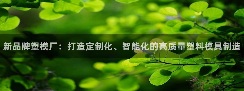 太阳集团游戏2138网站：新品牌塑模厂：打造定制化、智能化的高质量塑料模具制造