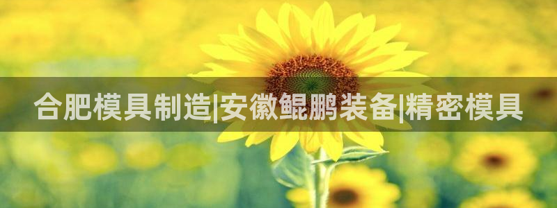 太阳集团app十佳平台是什么：合肥模具制造|安徽鲲鹏装备|精密模具