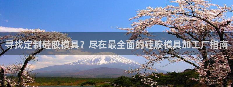 太阳影视公司：寻找定制硅胶模具？尽在最全面的硅胶模具加工厂指南