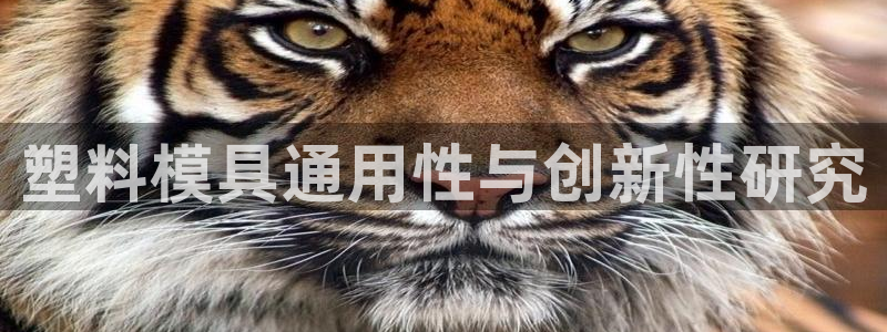 太阳成集团tyc1050：塑料模具通用性与创新性研究