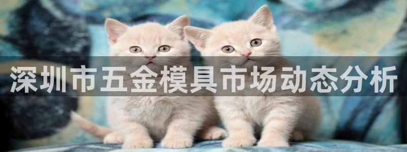 太阳集团娱乐全部网址视频：深圳市五金模具市场动态分析