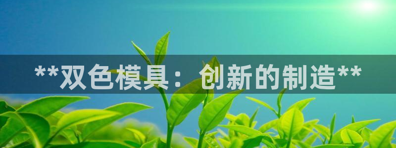 太阳成集团网站5：**双色模具：创新的制造**