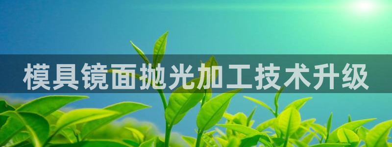 太阳成集团tyc151：模具镜面抛光加工技术升级