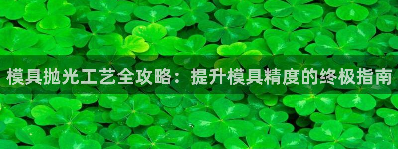 太阳诚集团网址：模具抛光工艺全攻略：提升模具精度的终极指南