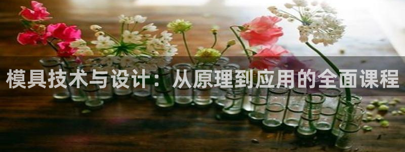 太阳集团2007：模具技术与设计：从原理到应用的全面课程