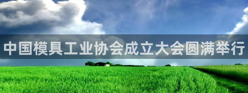 太阳gg打不开了吗：中国模具工业协会成立大会圆满举行