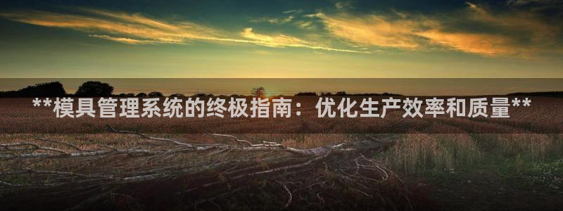 太阳科技集团：**模具管理系统的终极指南：优化生产效率和质量**
