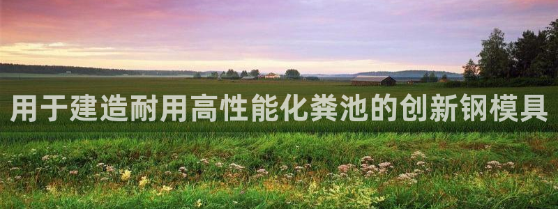 太阳集团股份有限公司：用于建造耐用高性能化粪池的创新钢模具