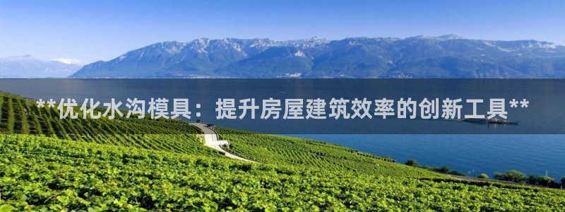 太阳集团电子游戏：**优化水沟模具：提升房屋建筑效率的创新工具**
