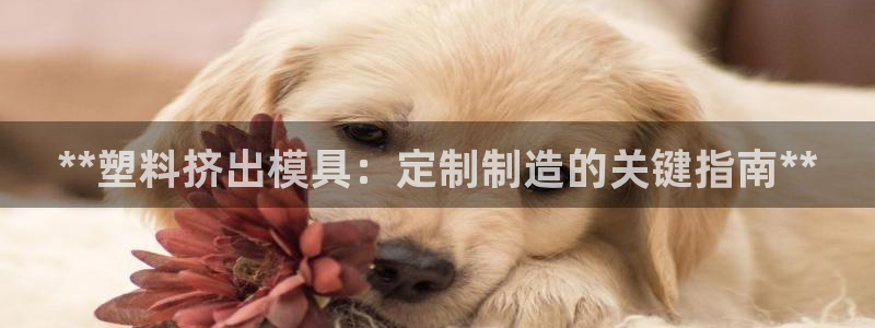 太阳诚集团APP：**塑料挤出模具：定制制造的关键指南**
