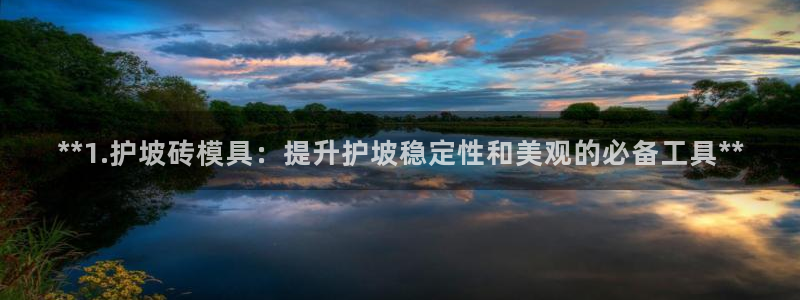 太阳成集团娱乐网站：**1.护坡砖模具：提升护坡稳定性和美观的必备工具**