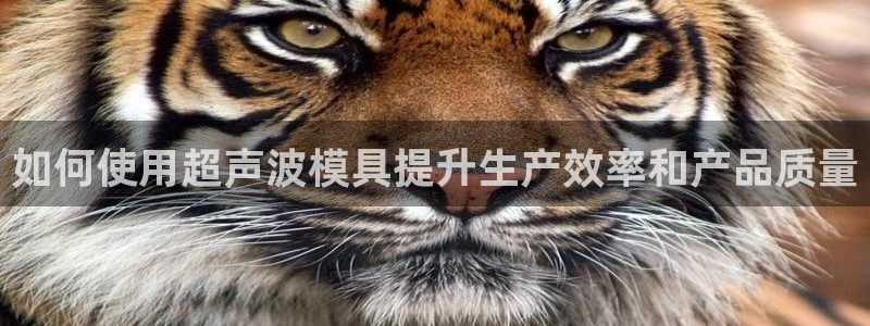 8827太阳集团官网：如何使用超声波模具提升生产效率和产品质量