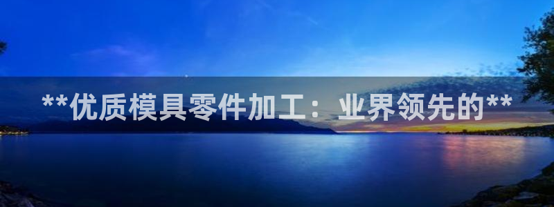 太阳集团app十佳平台是什么：**优质模具零件加工：业界领先的**