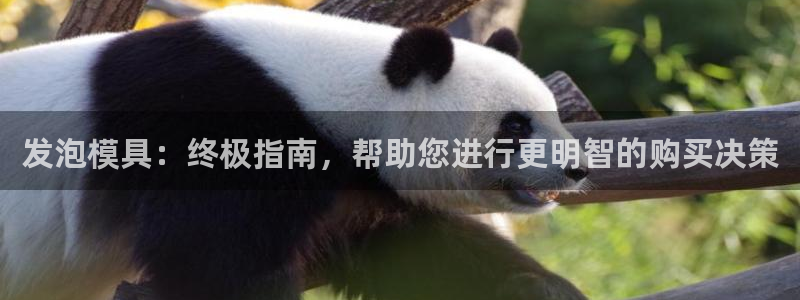 太阳2平台app下载：发泡模具：终极指南，帮助您进行更明智的购买决策