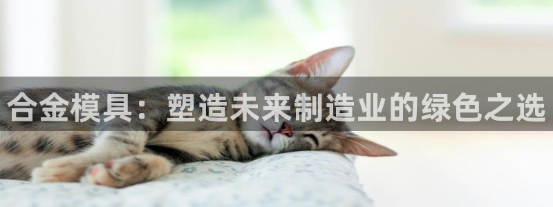 太阳gg平台地址：合金模具：塑造未来制造业的绿色之选