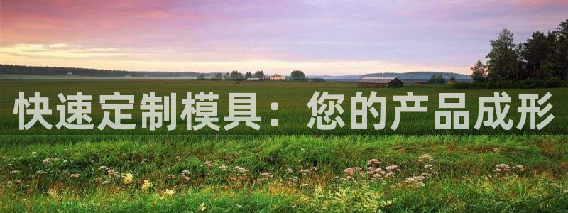 2003网站太阳集团：快速定制模具：您的产品成形