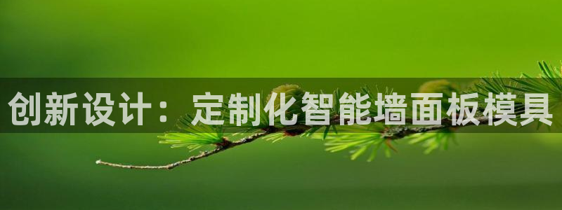 太阳集团2018登录网址查询：创新设计：定制化智能墙面板模具