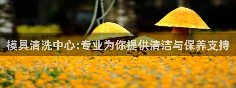 太阳成集团APP：模具清洗中心:专业为你提供清洁与保养支持