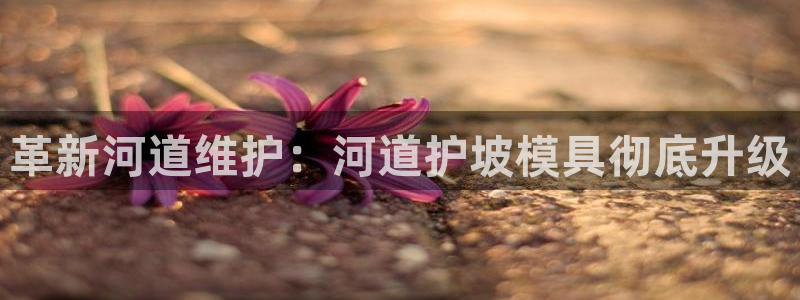 太阳成集团tyc7111cc下载手机版：革新河道维护：河道护坡模具彻底升级