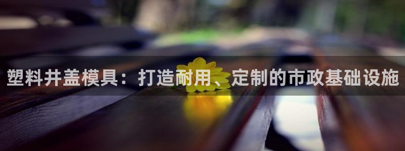 澳门太阳集团老板洗米华：塑料井盖模具：打造耐用、定制的市政基础设施