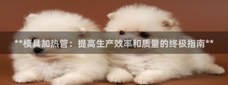太阳集团网站古天乐：**模具加热管：提高生产效率和质量的终极指南**