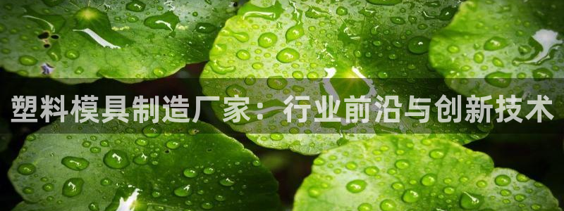 太阳集团娱：塑料模具制造厂家：行业前沿与创新技术
