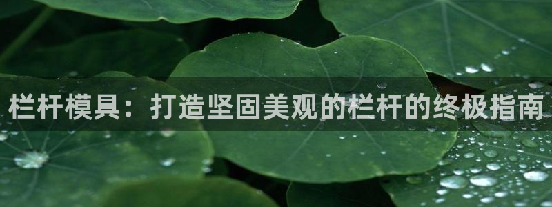 太阳成集团app下载