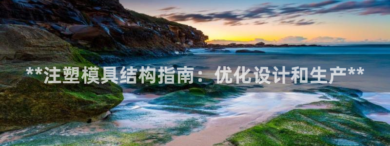 太阳集团的法人代表：**注塑模具结构指南：优化设计和生产**
