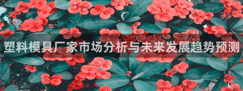 太阳集团主要是做什么的：塑料模具厂家市场分析与未来发展趋势预测