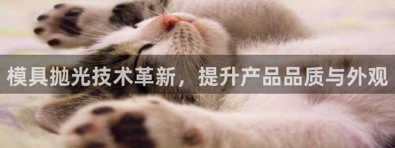 太阳集团tcy8099：模具抛光技术革新，提升产品品质与外观