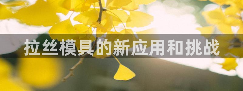 太阳集团电子游戏(中国)有限公司官网：拉丝模具的新应用和挑战