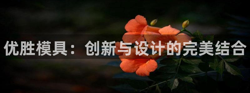 太阳诚集团有限公司有多少人：优胜模具：创新与设计的完美结合