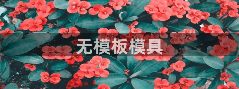 太阳集团高科技发展有限责任公司：无模板模具