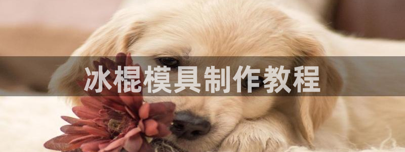 太阳集团1383：冰棍模具制作教程