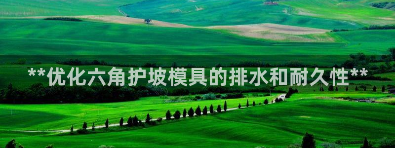 电子游戏太阳神官方网站：**优化六角护坡模具的排水和耐久性**