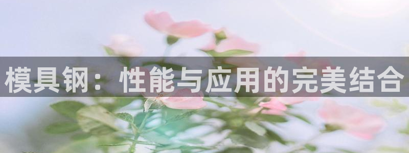太阳集团游戏城新版138：模具钢：性能与应用的完美结合