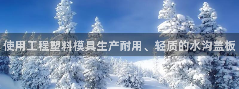 电子游戏太阳神官方网站：使用工程塑料模具生产耐用、轻质的水沟盖板