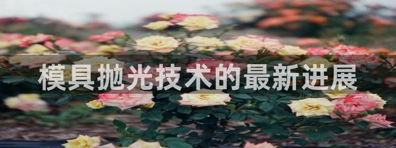太阳gg注册/登录：模具抛光技术的最新进展