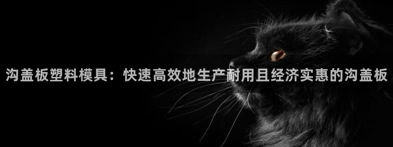 太阳集团旗下品牌：沟盖板塑料模具：快速高效地生产耐用且经济实惠的沟盖板