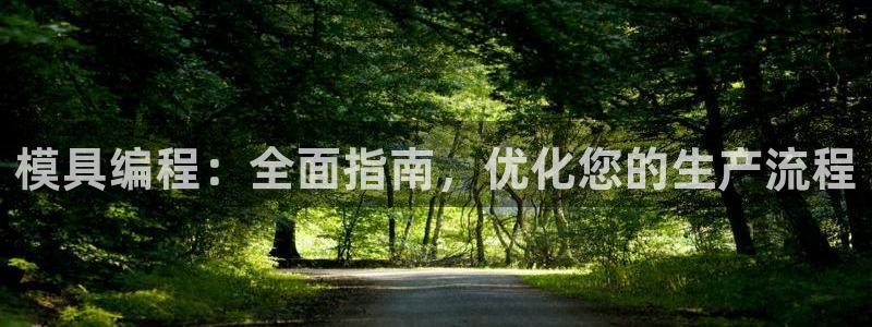 太阳gg注册地址：模具编程：全面指南，优化您的生产流程