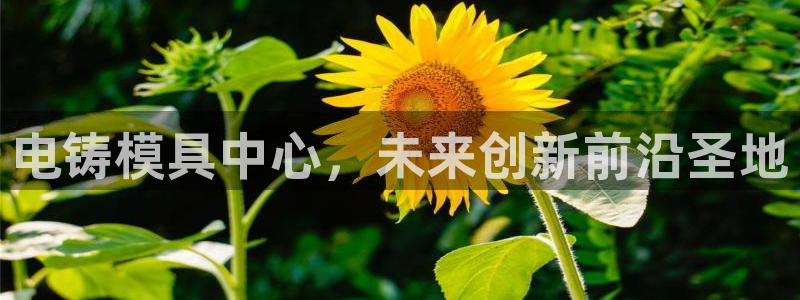太阳集团是什么公司：电铸模具中心，未来创新前沿圣地