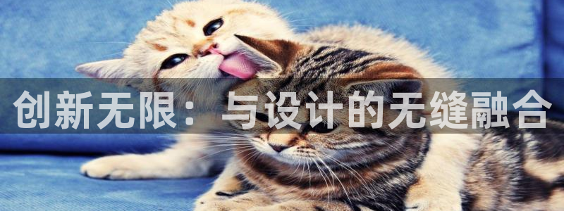 太阳集团188网站：创新无限：与设计的无缝融合