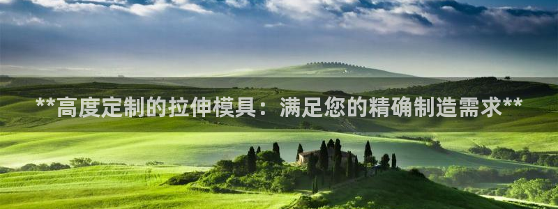 太阳集团下载链接app：**高度定制的拉伸模具：满足您的精确制造需求**