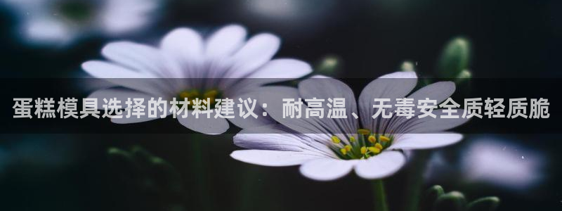 太阳集团电子游戏APP登录入口：蛋糕模具选择的材料建议：耐高温、无毒安全质轻质脆
