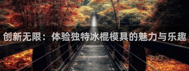 太阳集团董事长是谁呀