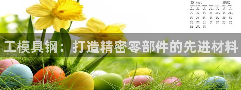 太阳地产集团：工模具钢：打造精密零部件的先进材料